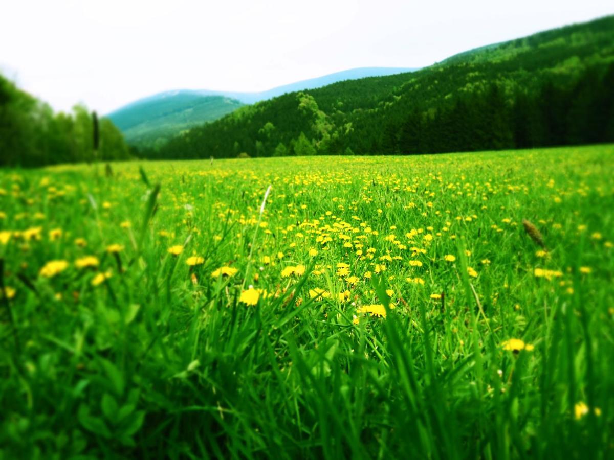 Hostel Srub u lanovky Ramzová Exteriér fotografie
